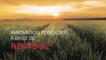 revysol